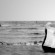 Fotolia_26908_Subscription_XL-720x296 Fotolia_26908_Subscription_XL-720x296